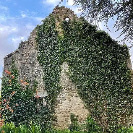 Chateau De La Combe