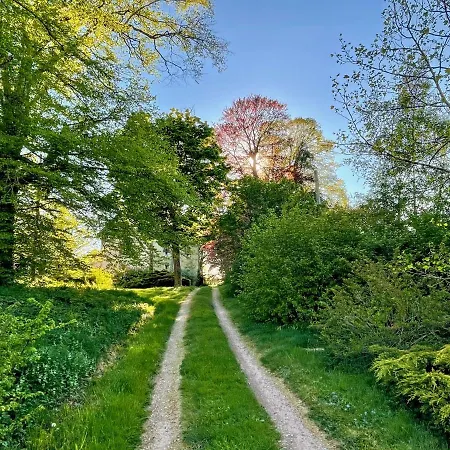 Chateau De La Combe Bed & Breakfast *